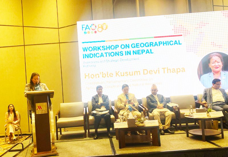 Workshop on Geographical Indications in Nepal