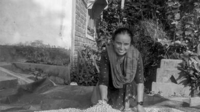 Photo of Women master climate resilient farming for bigger and better yields in Nepal